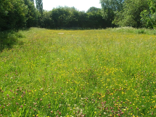 New Meadow in May 2011